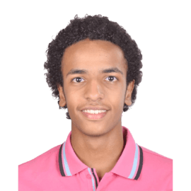 Omar Ahmed Foly image